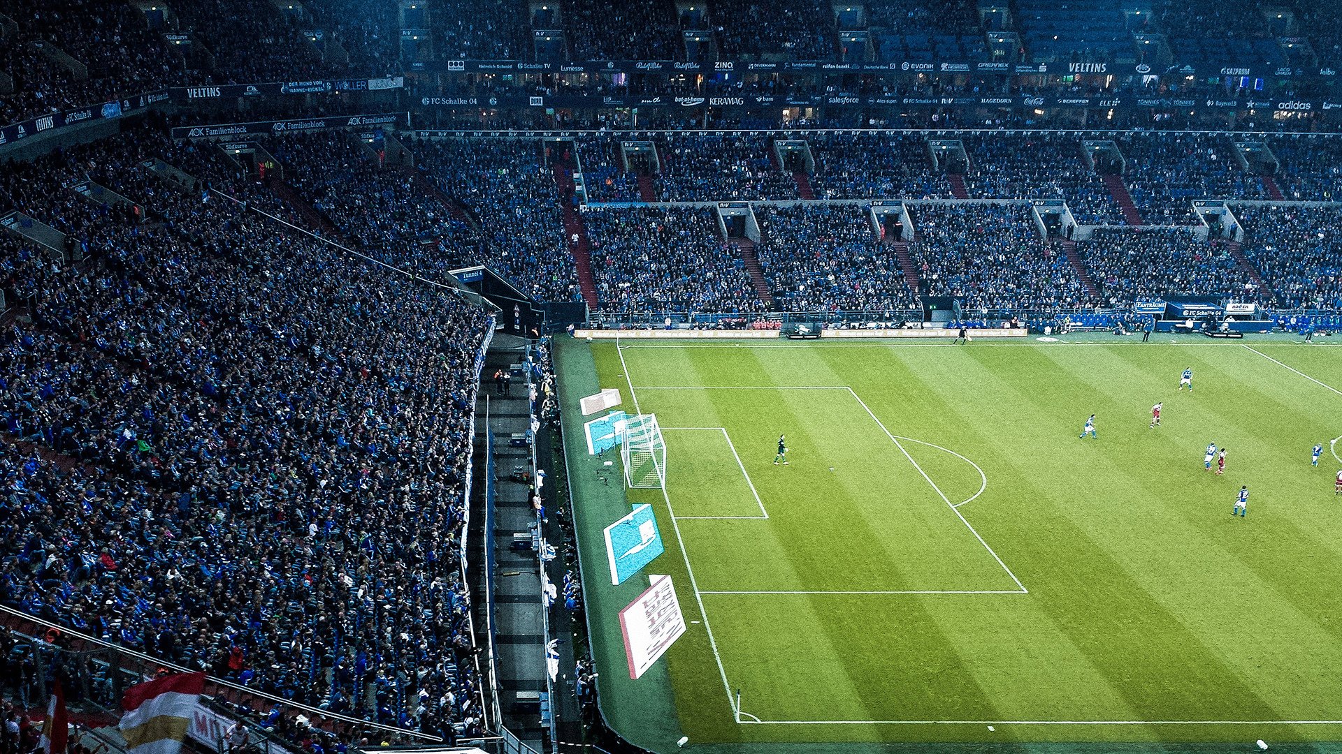 _点燃梦想：青少年体育职业探索营_，青少年体育训练营